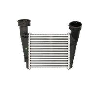 Intercooler THERMOTEC DAW003TT