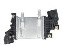 THERMOTEC DAW024TT Intercooler, échangeur pour MAN,VW