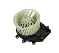 Thermotec DDW006TT Moteur électrique souffleur intérieur