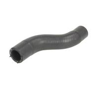 Durite de radiateur THERMOTEC DW0577TT