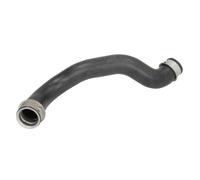 Thermotec Durite de refroidissement DWM154TT gauche supérieure