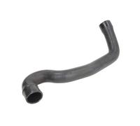 Tuyau du système de refroidissement Radiateur moteur DWM207TT THERMOTEC