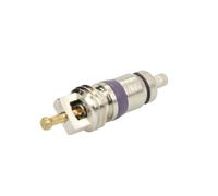 THERMOTEC KTT500012 Bouchon vanne pour service