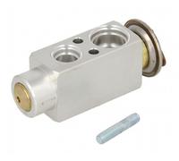 THERMOTEC Vanne D'Expansion Climatisation Pour VW Golf IV 1J1 Transporter 70XB