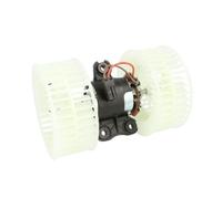 THERMOTEC Ventilateur Intérieur de Chauffage pour Mercedes-Benz Vito/Mixto Box