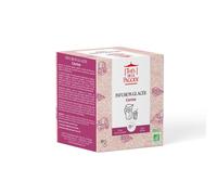 THES DE LA PAGODE-Infusion glacée à la cerise bio Thés de la pagode - 6 infusettes