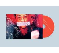 These Actions Cannot Be Undone