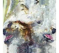 These Arms Are Snakes - Tall Swallower and Dove