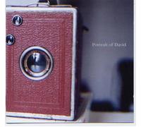 Portrait of David - These Days are Hard to [Import]