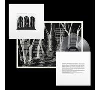 These New Puritans – Crooked Wing – Vinyle LP transparent – Édition limitée (Domino)