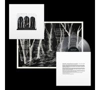 These New Puritans Crooked Wing (Vinyl) 12" Album (Clear vinyl)