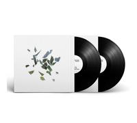 These New Puritans – Field of Reeds – Vinyle – 10e anniversaire – 12"