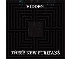 These New Puritans - Hidden