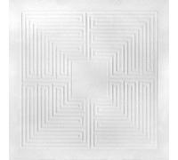 These New Puritans – Hidden (MMXX) – Vinyle – Édition Deluxe Limitée