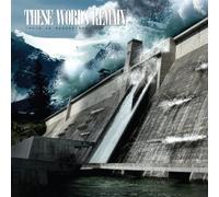 These Words Remain - Truth in Moderation