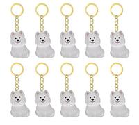 Thewasc Lot de 2/3/4/5/10 porte-clés transparents avec compartiment pour chiens et chats - Collection de fourrures d'animaux domestiques - Porte-clés commémoratif miniature