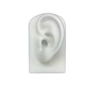 Thewasc Modèle d'oreille en silicone souple adapté à l'audition 1:1 - Modèle d'oreille humaine - Accessoires d'affichage de bijoux et boucles d'oreilles