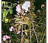 They Live By Night - They Live by Night EP [Import]