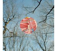 They Might Be Giants – Glean – Vinyle LP transparent rouge – The Orchard