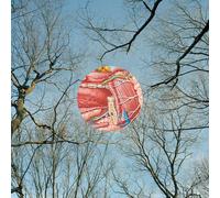 They Might Be Giants – Glean – Vinyle LP transparent rouge – The Orchard