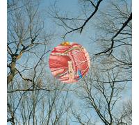 They Might Be Giants - Glean LP [Vinyl]