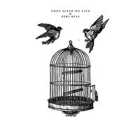 They Sleep We Live - Split