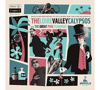 Thibaut Kret - Loire Valley Calypsos Vs The Pink Flamingo