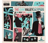 Thibaut Kret - The Loire Valley Calypsos Vs the Great Pink Flamingo (Vinyl)
