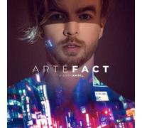Thierry Amiel Artefact