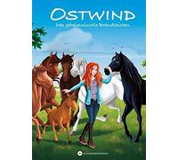 Thilo Lea Schmidbauer OSTWIND - Das geheimnisvolle Brandzeichen (Ostwin (Relié)