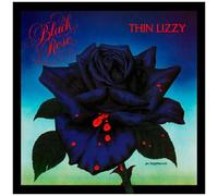 Thin Lizzy – Black Rose – Vinyle LP – Éd. limitée anniversaire, bleu et transparent