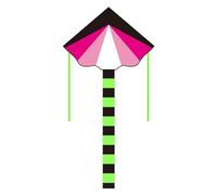 THINCAN Cerf-volant pour débutants Grands dragons pour adultes Jouet pour enfants Facile à voler Cerf-volant Jouet d'extérieur Cerf-volant avec queue