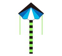 THINCAN Cerf-volant pour débutants Grands dragons pour adultes Jouet pour enfants Facile à voler Cerf-volant Jouet d'extérieur Cerf-volant avec queue