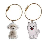 THINCAN Collecteur de fourrure miniature pour animaux de compagnie Porte-clés Stockage de poils pour chiens et chats en plastique Porte-clés de stockage de poils pour chiens et chats