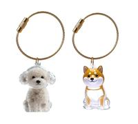 THINCAN Collecteur de fourrure miniature pour animaux de compagnie Porte-clés Stockage de poils pour chiens et chats en plastique Porte-clés de stockage de poils pour chiens et chats