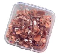 THINCAN Lot de 100 figurines miniatures Capybaras en plastique souple pour la fabrication de bijoux Dollhouses Ongles Charmes Décorations Dolhouses Charms