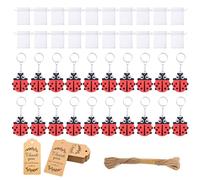 THINCAN Lot de 20 porte-clés Ladybirds en métal PVC - Accessoires de fête idéaux pour les invités - Maisons créatives - École - Coccinelle colorée - Porte-clés pour enfants