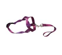 THINCAN Muselière anti-aboiement pour chien réglable en nylon avec aération Muselière pour chien Sangle en nylon Accessoire pour chien