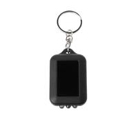 THINCAN Porte-clés à énergie solaire Lampe de poche torche torche solaire portable Porte-clés solaire d'extérieur Texture plastique Parfait pour les besoins d'éclairage