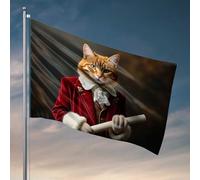 Things For Boys Room Cat in Red Suit Holding Diploma Flag Yard Art Beer Decorations For Man Cave (30 x 45 cm)