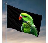 Things For Boys Room Un perroquet vert vif avec un bec rouge frappant. Drapeau pour dortoir, décorations extérieures amusantes pour terrasse (152 x 244 cm)