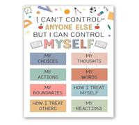 Things I Can Control Tin Sign School Psychologist Wall-Art 12x8 Inch