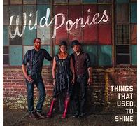 Things That Used to Shine [Import allemand]