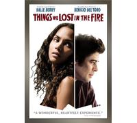 Things We Lost in The Fire
