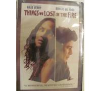 Things We Lost in The Fire