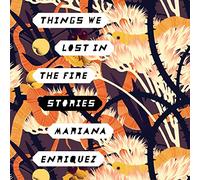 Things We Lost in the Fire: Stories