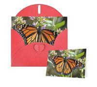 Thinking of You Cartes d'anniversaire avec enveloppes Monarque Papillon Cartes vierges pour toutes les occasions Carte de vœux d'anniversaire pour invitations de mariage Note de remerciement 10 x 15