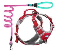ThinkPet Harnais de Sport Respirant avec poignée pour Chiens de Moyenne et Grande Taille, réfléchissant, réglable, Clip arrière/Avant pour Un contrôle Facile, Rouge, Taille S