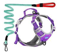 ThinkPet Harnais de Sport Respirant avec poignée pour Chiens de Moyenne et Grande Taille, réfléchissant, réglable, Clip arrière/Avant pour Un contrôle Facile, Violet, Taille L