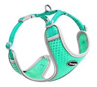 ThinkPet Harnais pour Chien No-Pull - Harnais de Poitrine Respirant pour Chiens de Petite, Moyenne et Grande Taille - Réglable - Doux - Contrôle sûr - Rembourré - Harnais de sécurité réfléchissant